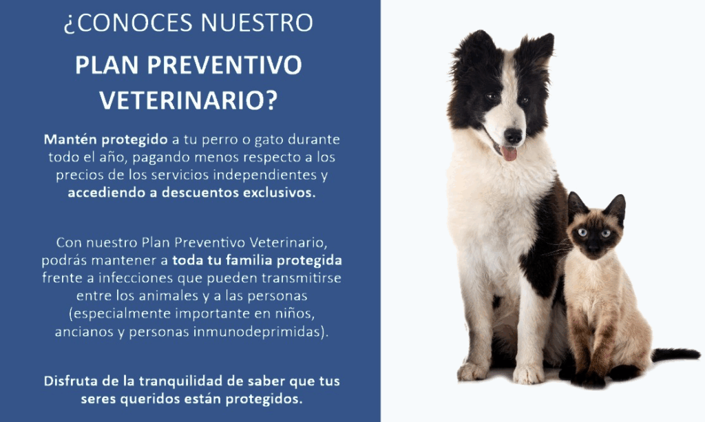 Plan preventivo