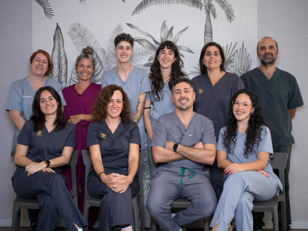 Equipo Oftalvet Veterinarios Las Palmas Equipo Oftalvet Veterinarios Las Palmas