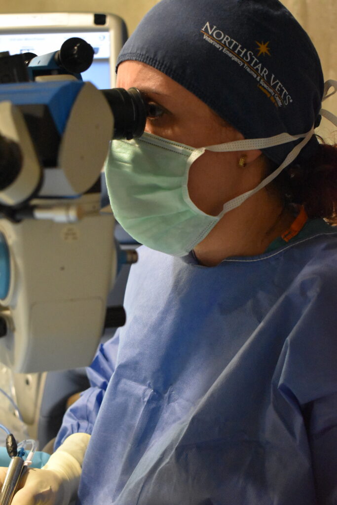Remisión de casos Veterinarios en Las Palmas