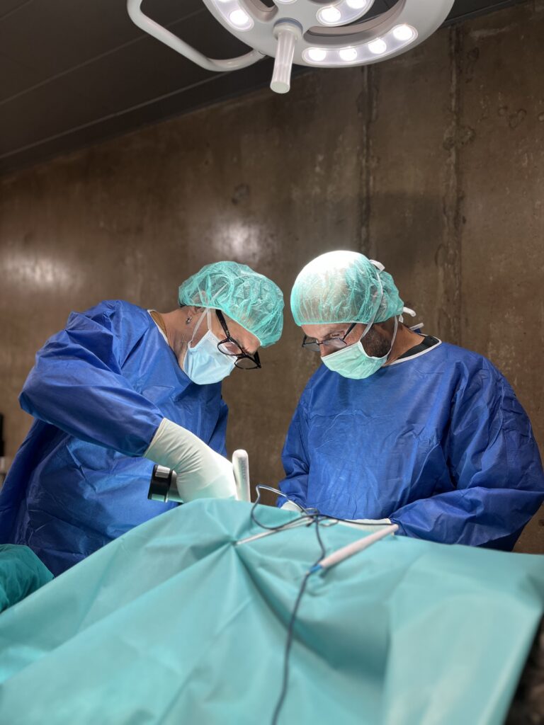 Remisión de casos Veterinarios en Las Palmas